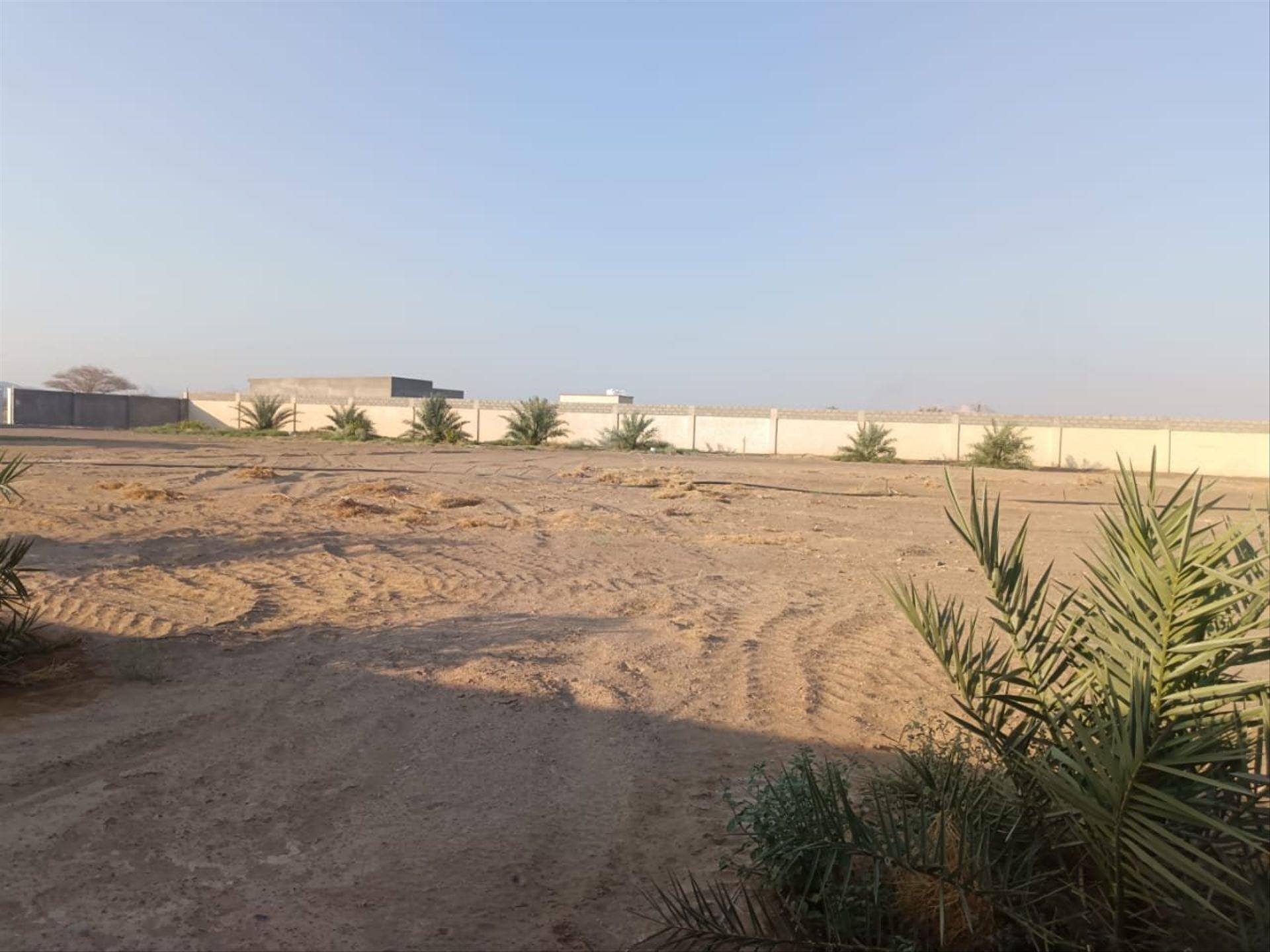 Other Land Types in Satwah, Ibri