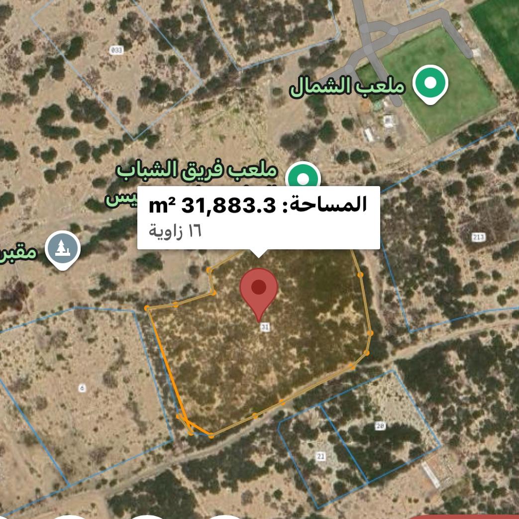 Residential Land in Liwa, Ghadfan