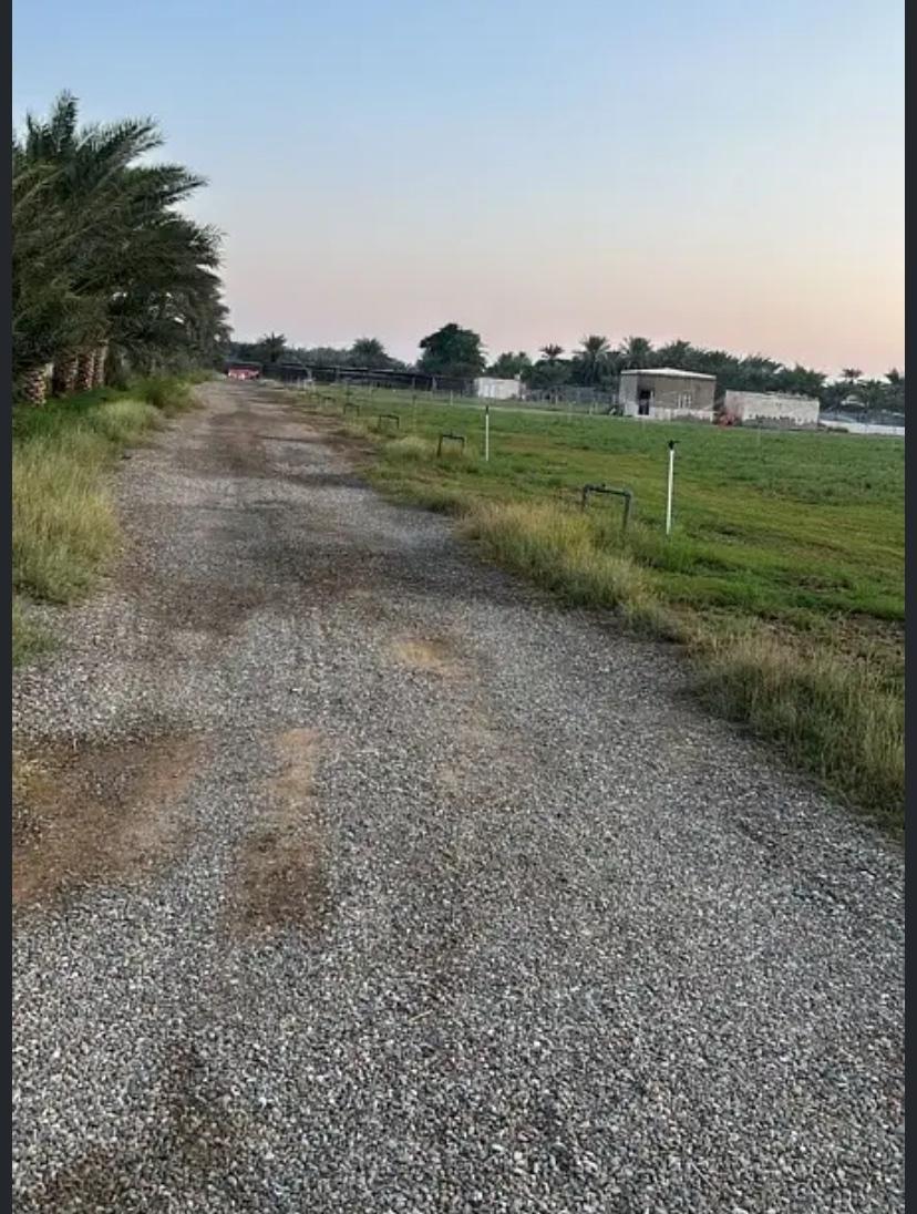 Residential Land in Saham, Al Qishay
